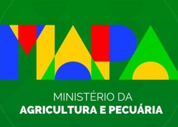 Concurso MAPA: Edital publicado e salários atrativos; Veja!