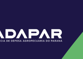Concurso ADAPAR: Inscrições abertas até 19/02!
