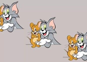 desafio do tom e jerry