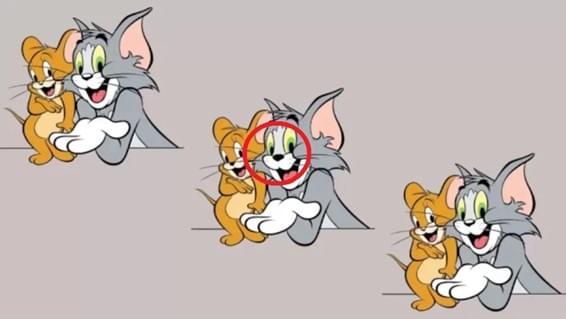 desafio do tom e jerry