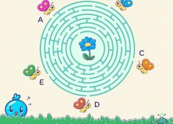 qual borboleta chegará na flor