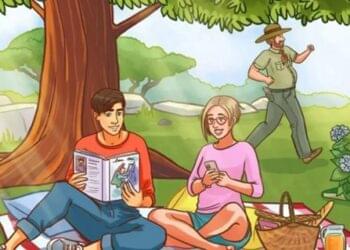 livros no piquenique