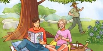 livros no piquenique
