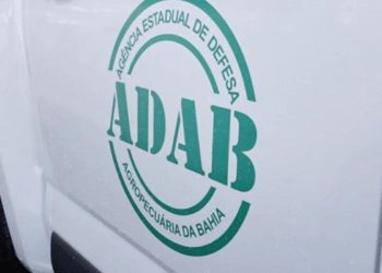 Concurso ADAB: 160 oportunidades imediatas no Nordeste!