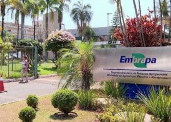 Embrapa abre concurso após 15 anos; 1.061 vagas e salários de até R$ 12 mil