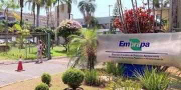 Embrapa abre concurso após 15 anos; 1.061 vagas e salários de até R$ 12 mil