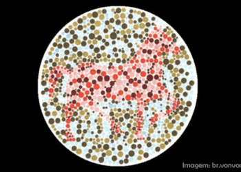 teste do animal interior
