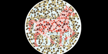 teste do animal interior