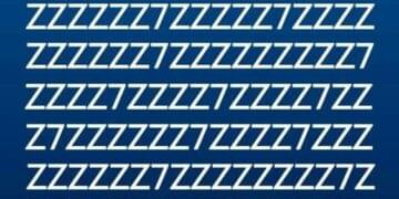 desafio do Z ou 7