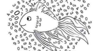 peixe numérico