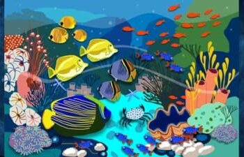 Encontre a concha no fundo do mar e resolva esse teste de acuidade visual em apenas 10 segundos