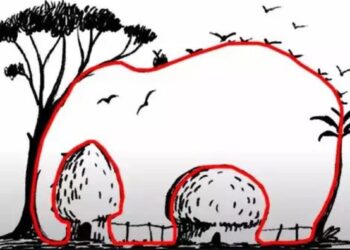 Teste de ilusão de ótica: encontre o elefante em menos de 10 segundos