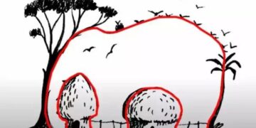 Teste de ilusão de ótica: encontre o elefante em menos de 10 segundos