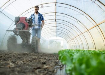 AGRONEGÓCIO EM ASCENSÃO: Salários podem chegar a R$ 50.000 MIL mensais, confira as prosissões mais valorizadas