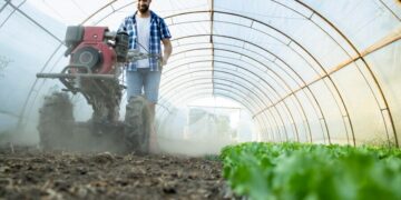 AGRONEGÓCIO EM ASCENSÃO: Salários podem chegar a R$ 50.000 MIL mensais, confira as prosissões mais valorizadas