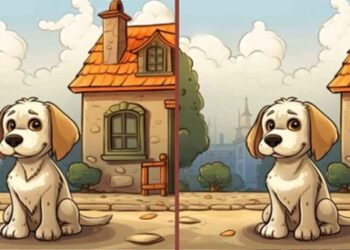 Jogo das diferenças: Encontre os erros entre as imagens do cachorro em 10 segundos