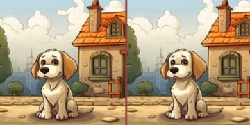 Jogo das diferenças: Encontre os erros entre as imagens do cachorro em 10 segundos