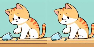 Jogo dos 3 erros: Encontre as diferenças entre as imagens do gatinho em 10 segundos