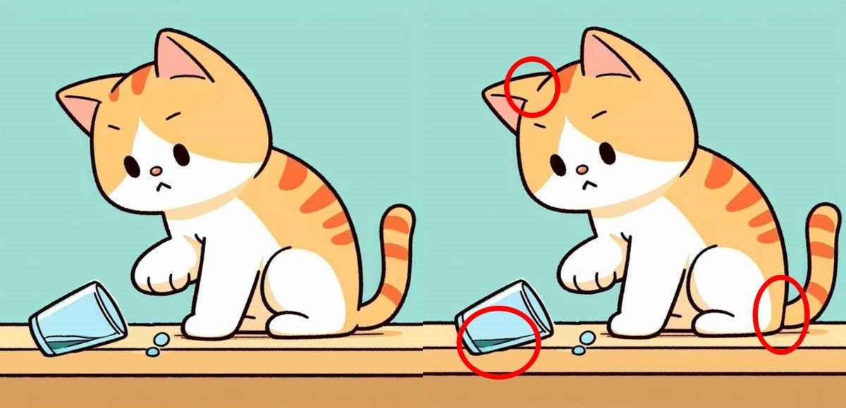 Jogo dos 3 erros: Encontre as diferenças entre as imagens do gatinho em 10 segundos