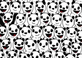 Teste de ilusão de ótica: Encontre a bola no meio dos pandas em apenas 10 segundos