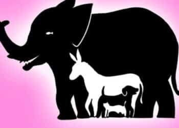 Teste de lógica: encontre 9 animais em menos de 10 segundos