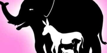 Teste de lógica: encontre 9 animais em menos de 10 segundos