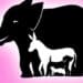 Teste de lógica: encontre 9 animais em menos de 10 segundos