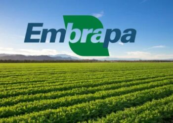 EMBRAPA oferece Cursos Online GRATUITOS! Veja como se inscrever