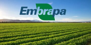EMBRAPA oferece Cursos Online GRATUITOS! Veja como se inscrever