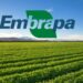 EMBRAPA oferece Cursos Online GRATUITOS! Veja como se inscrever