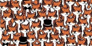 Encontre 4 gatos entre os tigres e resolva esse teste de agilidade visual em menos de 10 segundos
