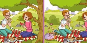 Jogo das diferenças: encontre 3 erros entre as imagens do piquenique em apenas 10 segundos