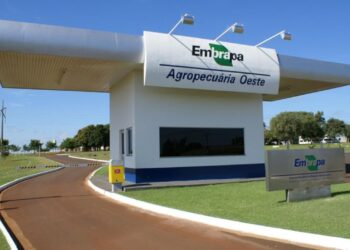 Concurso EMBRAPA: Edital com Previsão para Junho de 2024; Confira