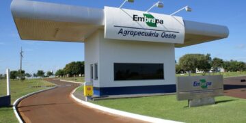Concurso EMBRAPA: Edital com Previsão para Junho de 2024; Confira