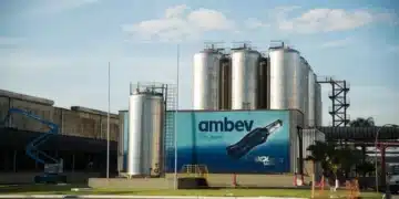 processo seletivo ambev