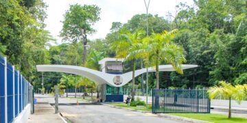 curso gratuito