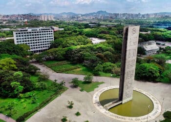 USP libera 24 cursos gratuitos para estudo online: não perca essa chance.