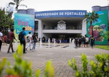 cursos