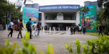 cursos