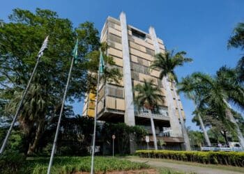 cursos