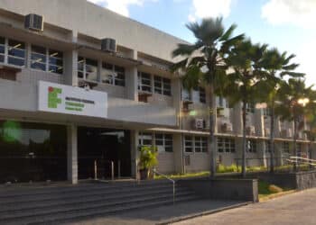 cursos