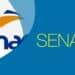 Aprenda uma nova habilidade sem gastar nada: confira os cursos gratuitos do Senac!