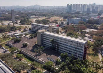 Para Se Candidatar a Essa Posição de Destaque, os Interessados Devem Possuir Graduação na Área de Atuação. Imagem: Agência Brasil.