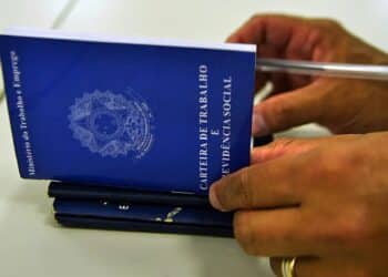 Diversidade de carreiras: de analista a motorista, vagas em Jequié e Porto Seguro.