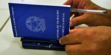 Diversidade de carreiras: de analista a motorista, vagas em Jequié e Porto Seguro.