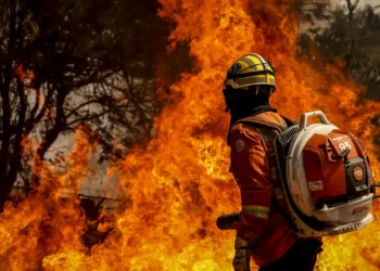 As Inscrições Para Este Concurso Ficarão Abertas Até o Dia 25 de Outubro de 2024. Imagem: Agência Brasil.