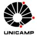 A UNICAMP oferece capacitação online e gratuita em áreas de alta demanda no mercado.
