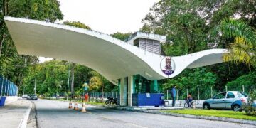 Diversidade de cargos disponíveis para candidatos com níveis médio e superior. Imagem: UFPB