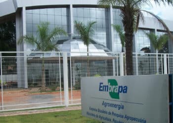 A Embrapa oferece cargos com benefícios adicionais. Imagem: Embrapii
