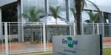 A Embrapa oferece cargos com benefícios adicionais. Imagem: Embrapii